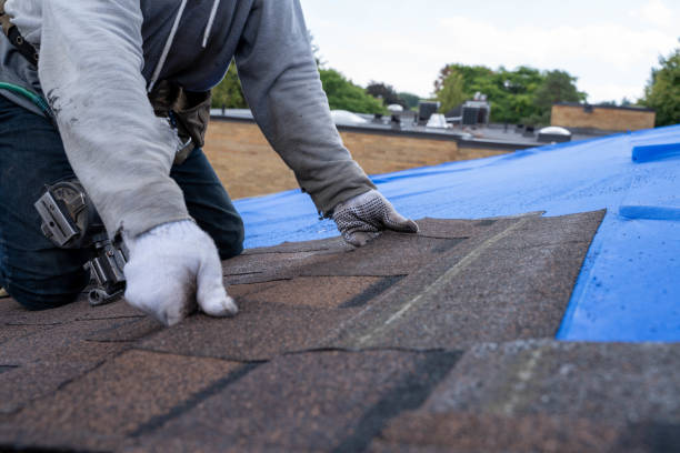 Best Storm Damage Roof Repair  in Jeffersonville, OH
